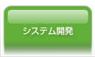 システム開発