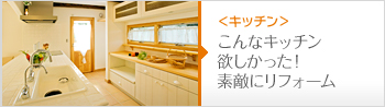 こんなキッチンほしかった